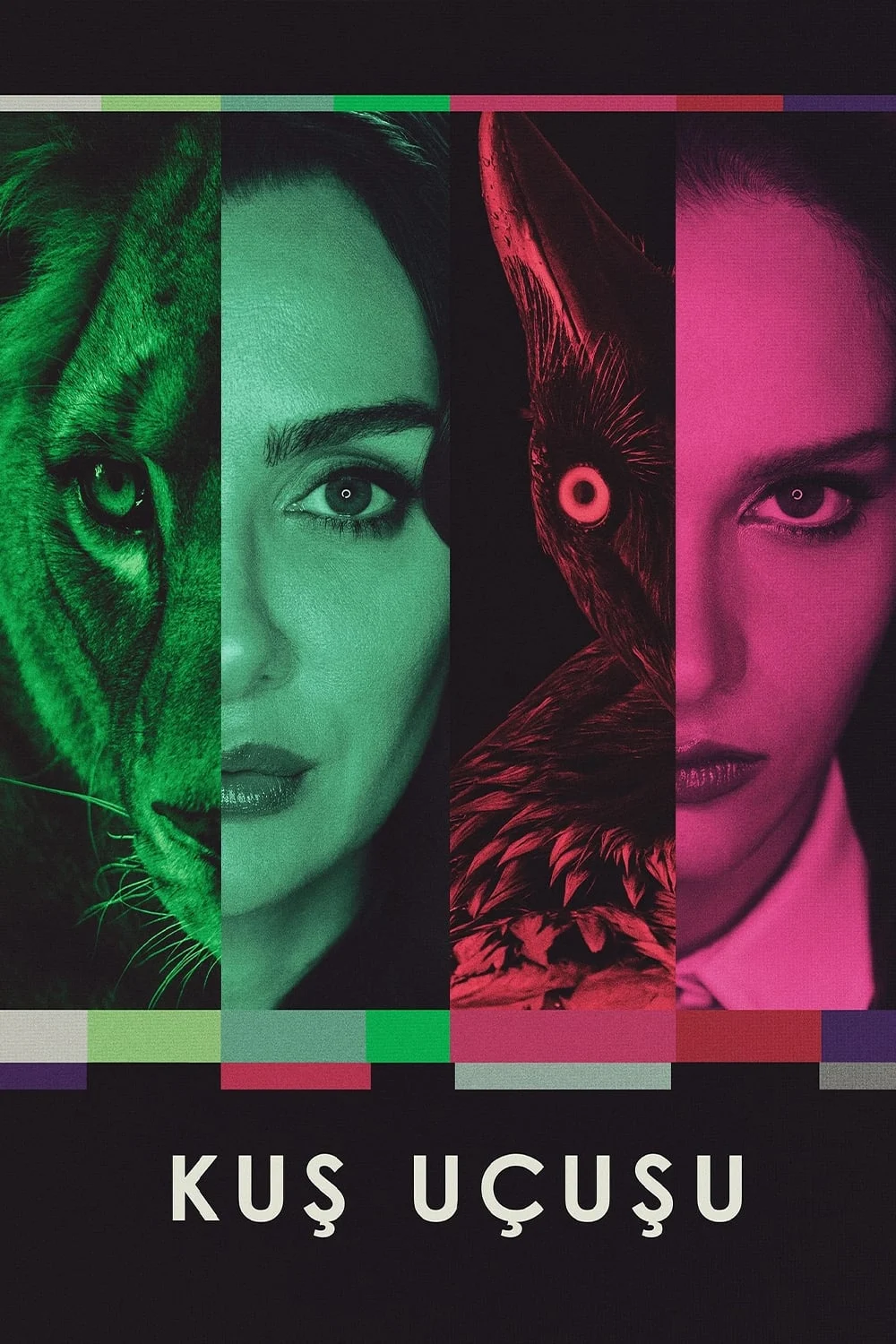 Đôi Cánh Tham Vọng (Phần 1) - As The Crow Flies (Season 1) (2022) Đôi Cánh Tham Vọng (Phần 1) - As The Crow Flies (Season 1) (2022)